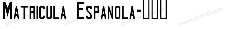 Matricula Espanola字体转换